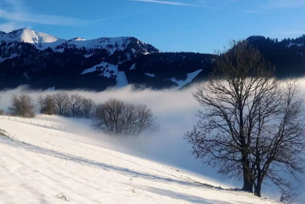 埃维昂莱班Jolie Vue Au Calme公寓 埃维昂莱班